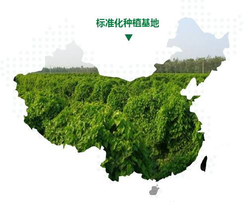 温县怀府天成生物科技